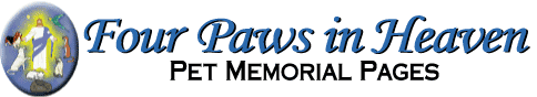 Four Paws in Heaven Home