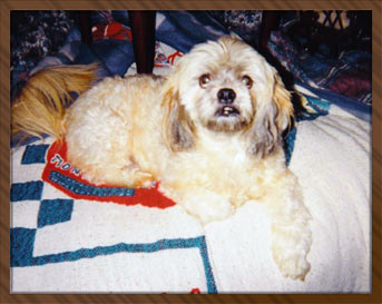 Chuckie