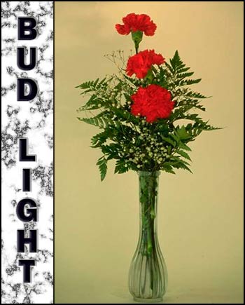 Memorial for Bud Light