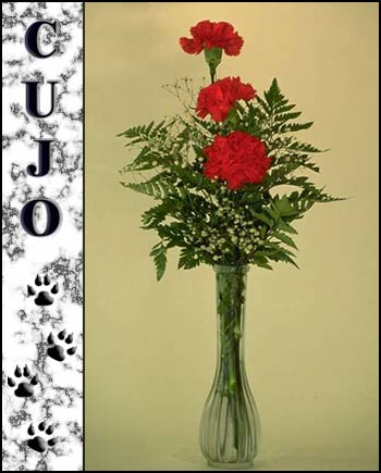 Cujo's Memorial
