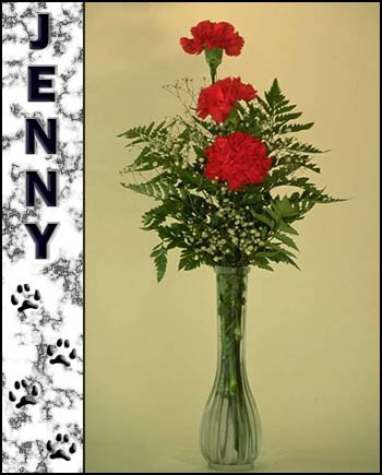 Jenny's Memorial
