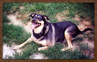 Samantha