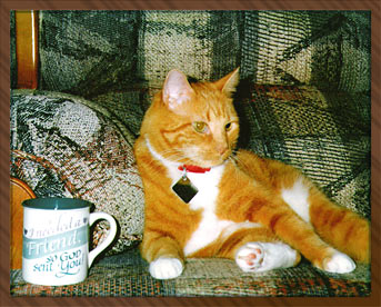 In Loving Memory of Buckwheat