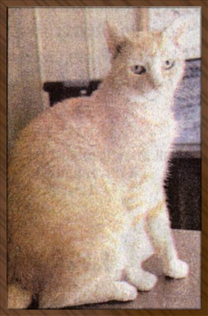 Miss B's Newspaper Photo
