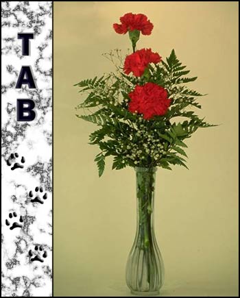 Tab's Memorial