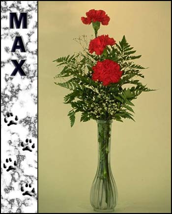 Max's Memorial