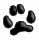 Dog Paw Print