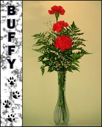 In loving memory of Buffy