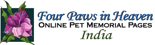 Four Paws in Heaven India Memorials