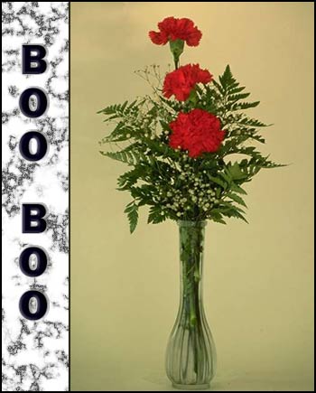 Boo Boo's Memorial