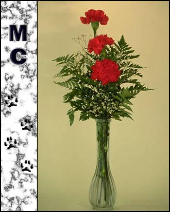 MC's Memorial