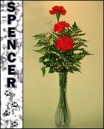 In Loving Memory of Spencer