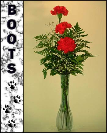 Boots's Memorial