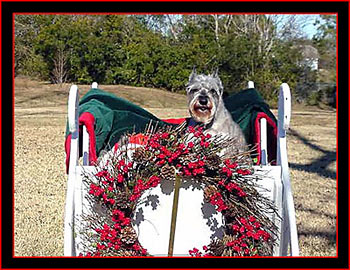 Ellis Christmas 2003
