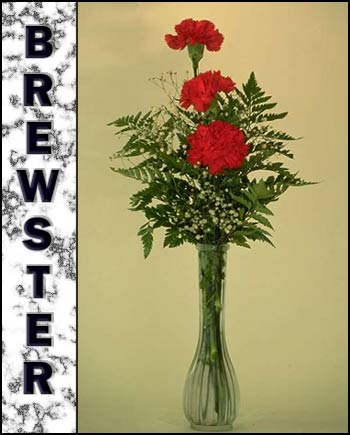Brewster's Memorial