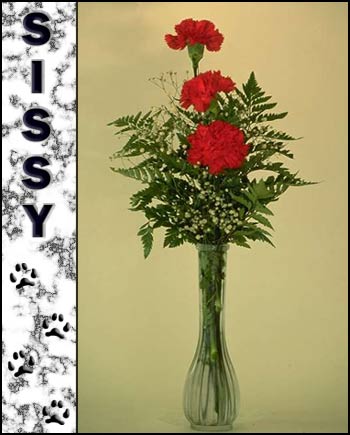 Sissy's Memorial