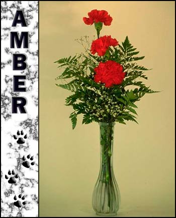 Amber's Memorial