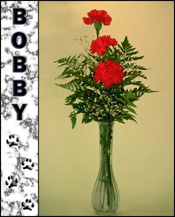 Bobby's Memorial