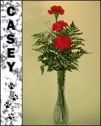 Casey's Memorial