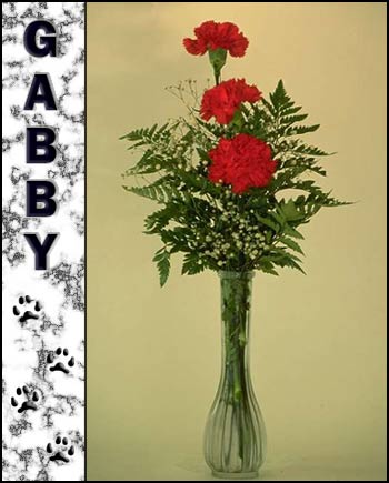 Gabby's Memorial