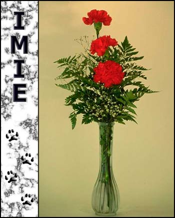 In loving memory of Imie