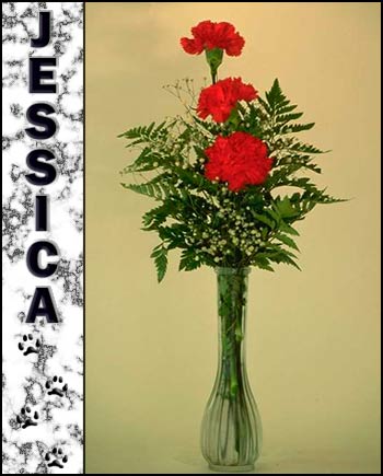 In Loving Memory of Jessica