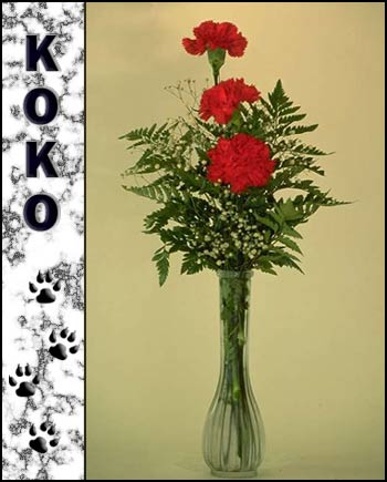Koko's Memorial