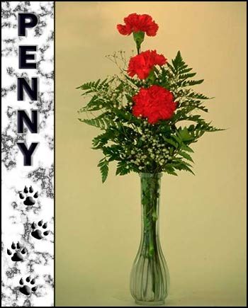 In loving memory of Penny