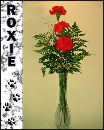 In loving memory of Roxie