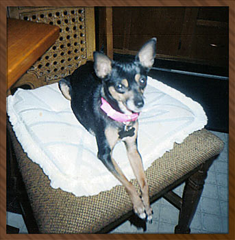 Tasha