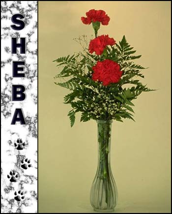 Sheba's Memorial