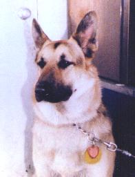 Duke