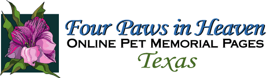Texas Memorials