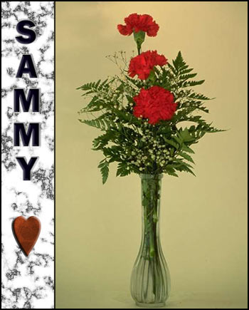 Sammy's Memorial