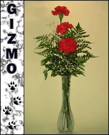 Gizmo's Memorial