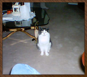 Toby