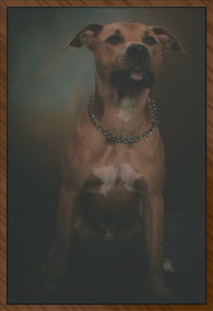 Deebo