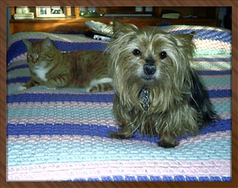 Toby