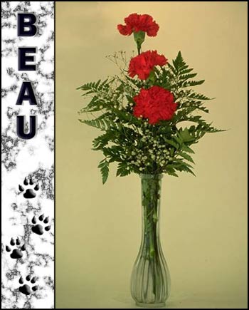 Beau's Memorial