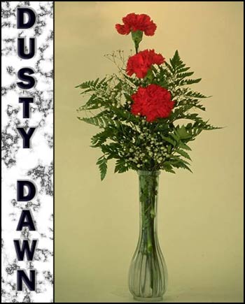 Dusty Dawn's Memorial