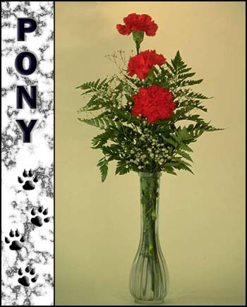 Pony's Memorial