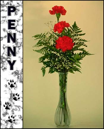 In Loving Memory of Penny
