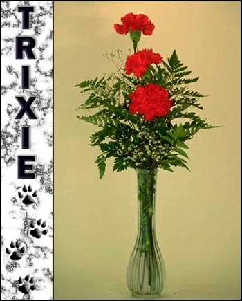 In Loving Memory of Trixie