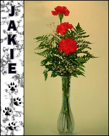 In Loving Memory of Jakie