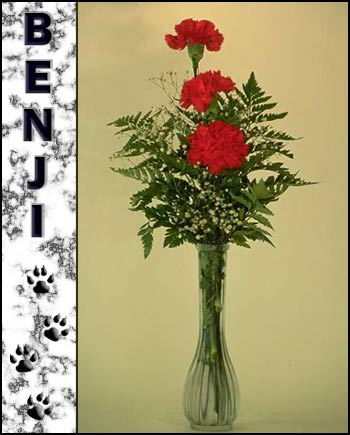 Benji's Memorial