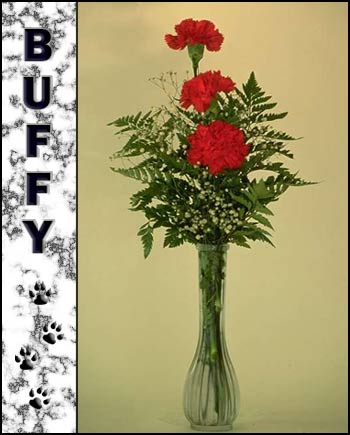 Buffy's Memorial