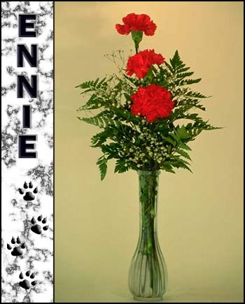 Ennie's Memorial
