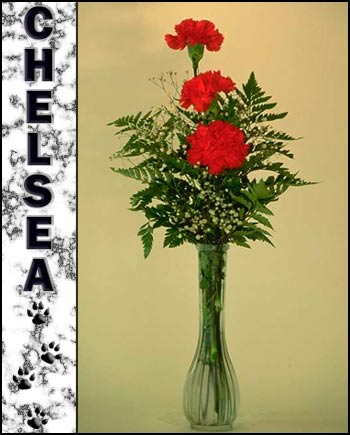 Chelsea's Memorial