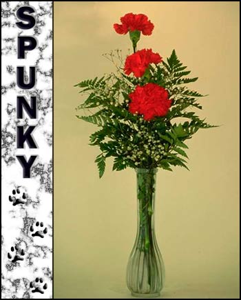 Spunky's Memorial