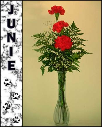 Junie's Memorial